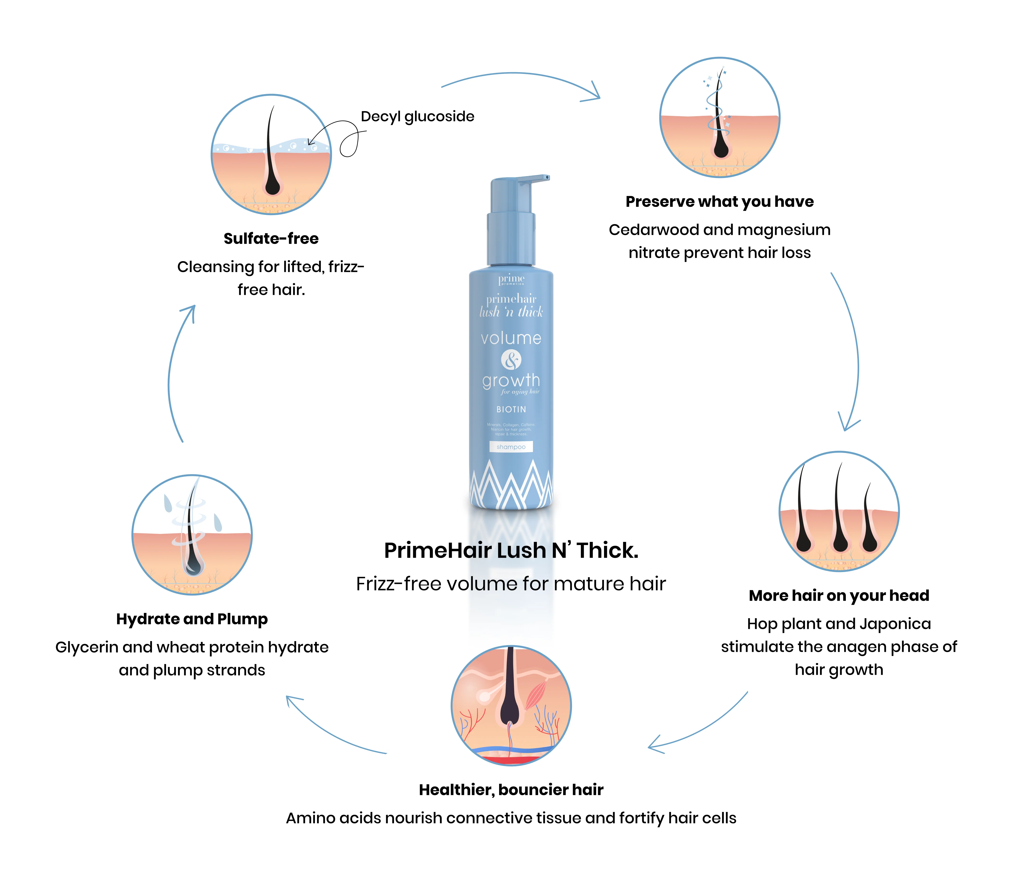 PrimeHair Lush N' Thick Shampoo - Image 8